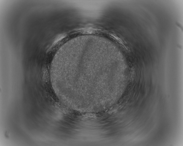 X0000096671446200803041211