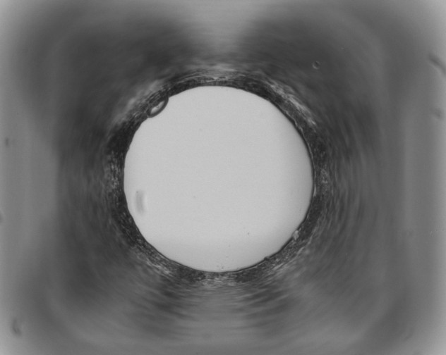 X0000096671447200803041211