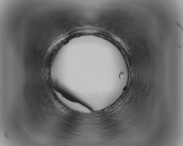 X0000096671448200803041211