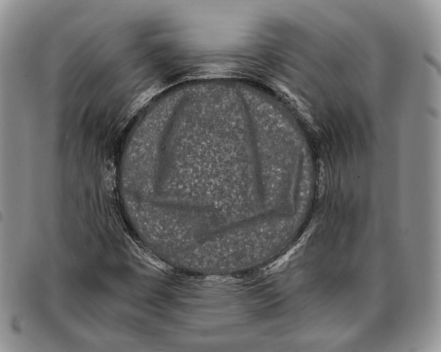 X0000096671449200803041211