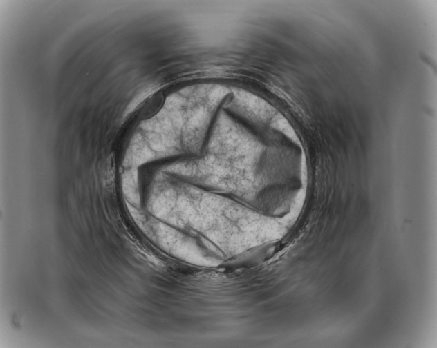 X0000096671450200803041211