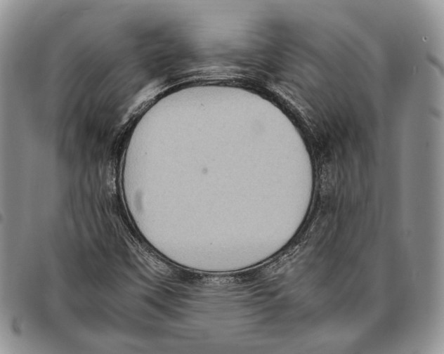 X0000096671451200803041211