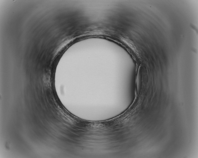 X0000096671452200803041211