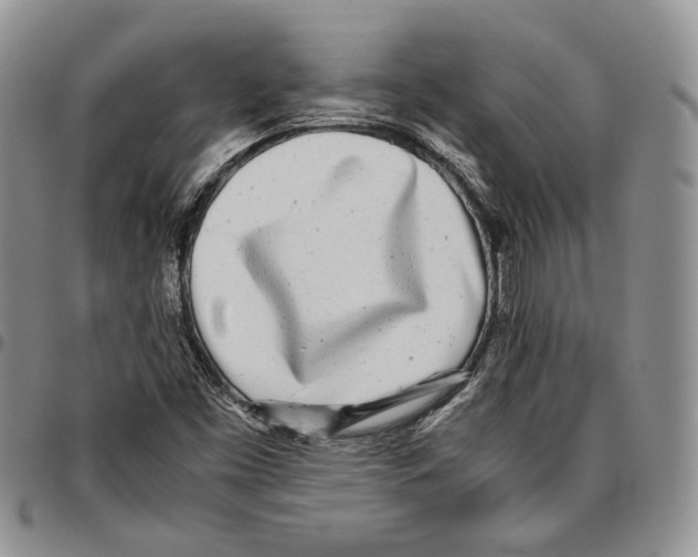 X0000096671453200803041211