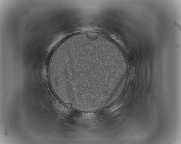 X0000096671454200803041211