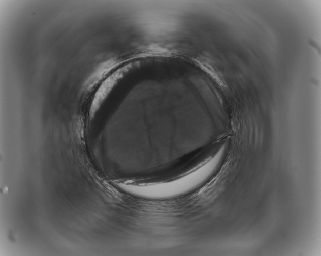 X0000096671455200803041211