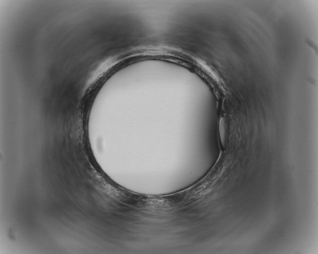 X0000096671456200803041211