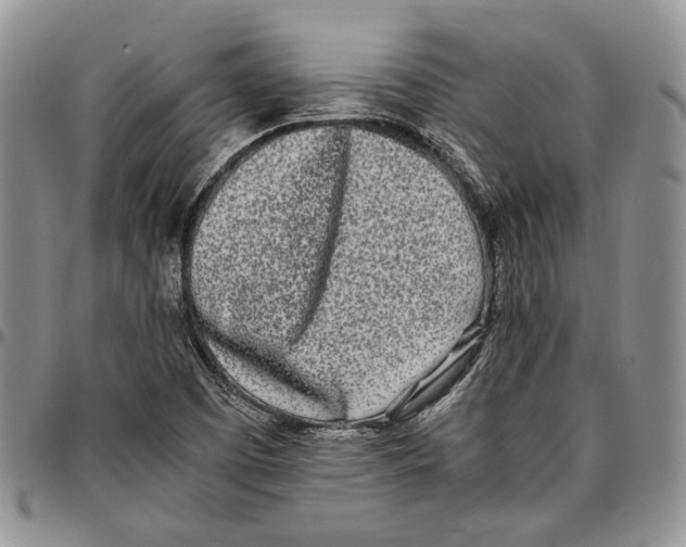 X0000096671457200803041211