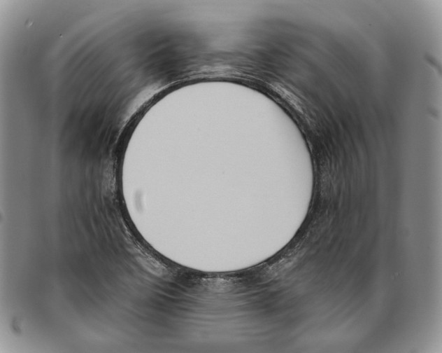 X0000096671458200803041211