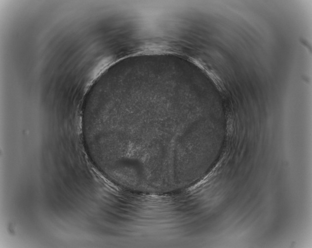 X0000096671459200803041211