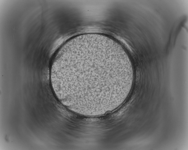 X0000096671461200803041211