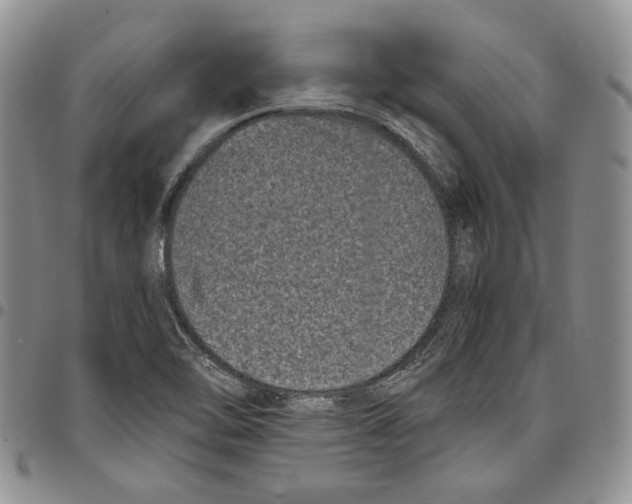 X0000096671462200803041211