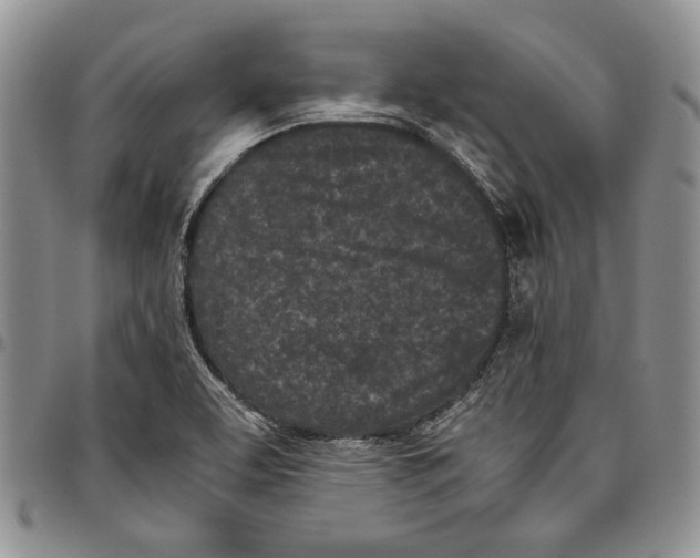 X0000096671463200803041211