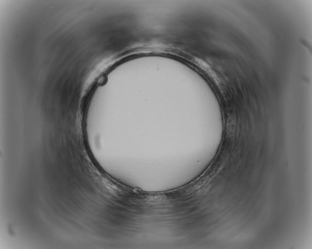 X0000096671464200803041211