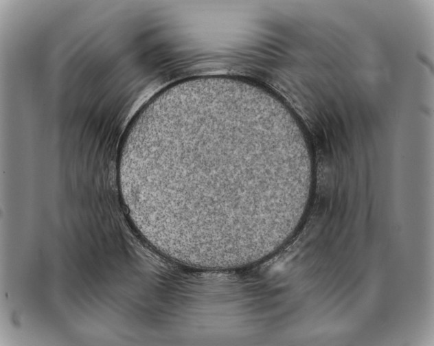 X0000096671465200803041211