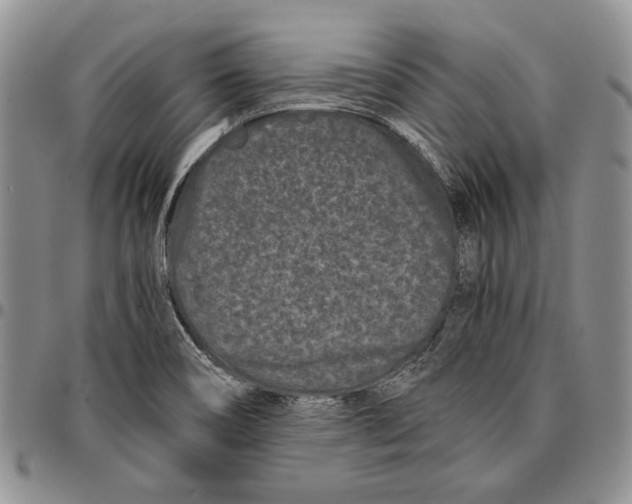 X0000096671466200803041211