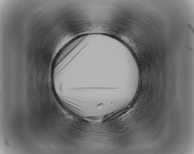X0000096671469200803041211
