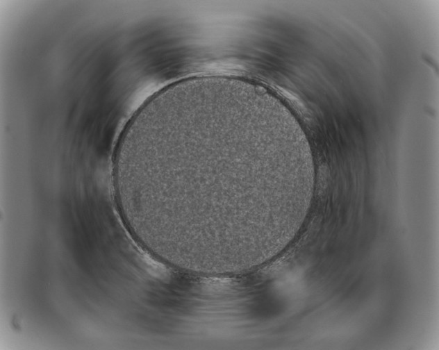 X0000096671470200803041211