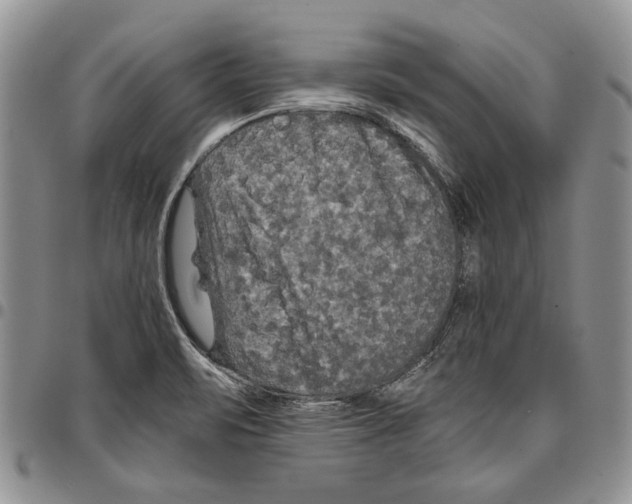 X0000096671471200803041211
