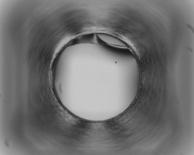 X0000096671472200803041211