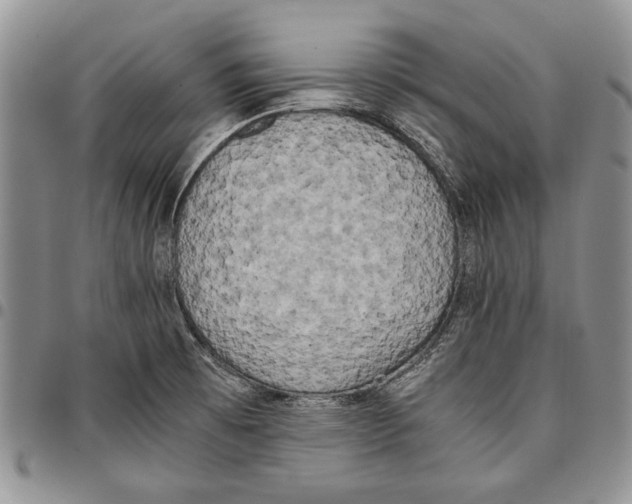 X0000096671473200803041211