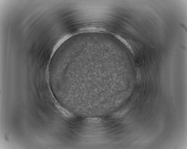 X0000096671474200803041211