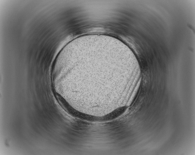 X0000096671475200803041211