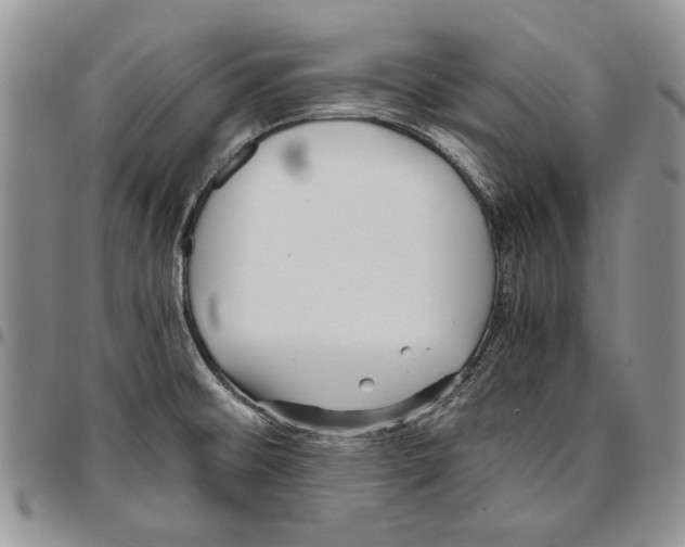 X0000096671476200803041211
