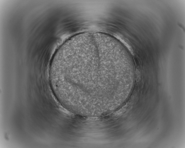 X0000096671477200803041211