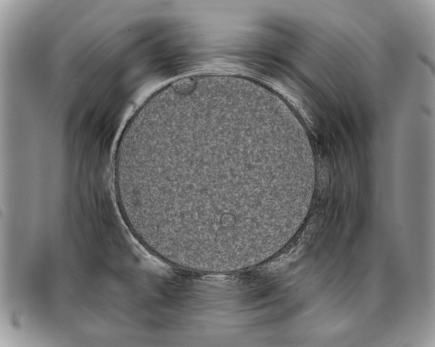 X0000096671478200803041211