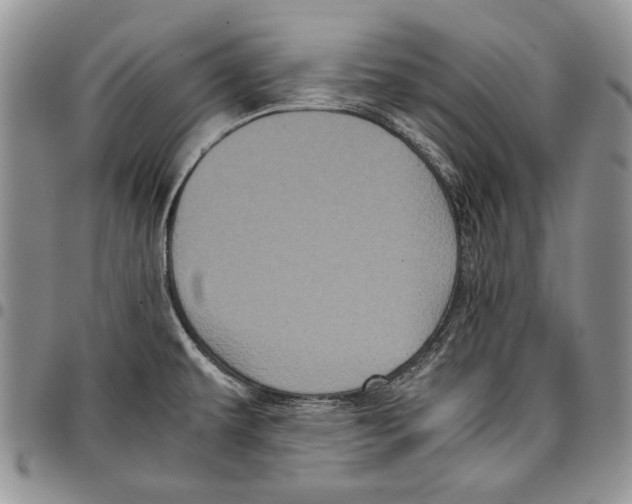 X0000096671479200803041211