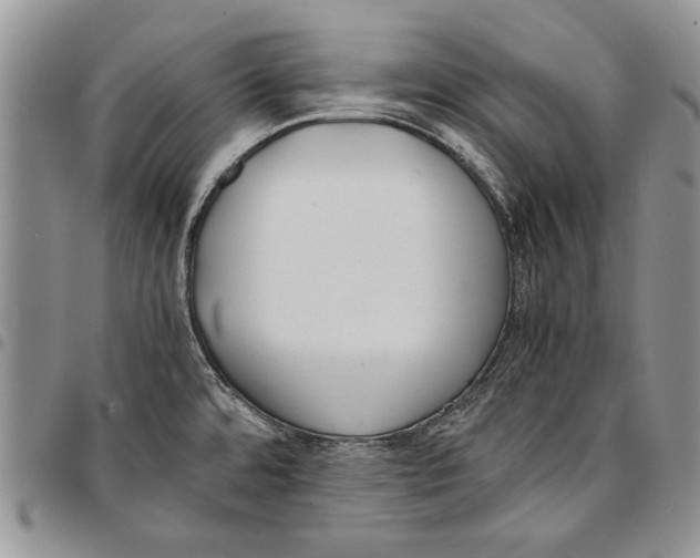 X0000096671480200803041211