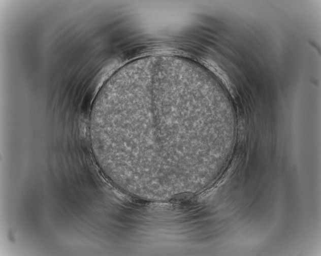 X0000096671481200803041211