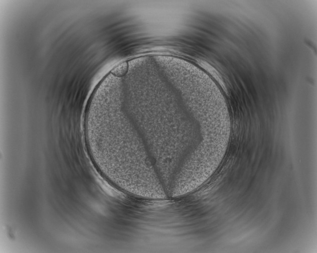 X0000096671482200803041211
