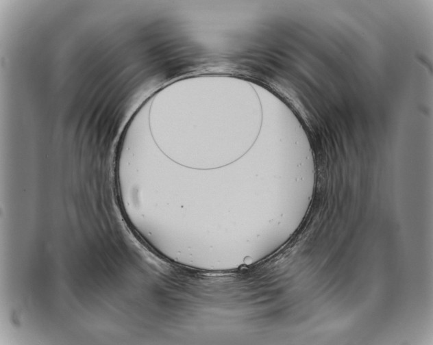X0000096671483200803041211