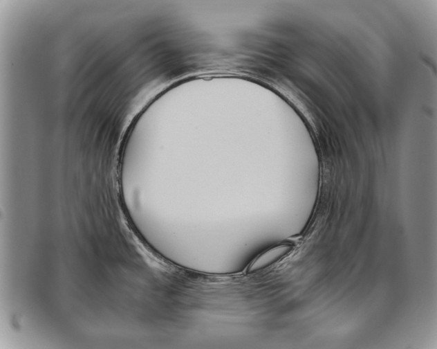 X0000096671485200803041211
