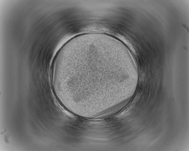 X0000096671486200803041211