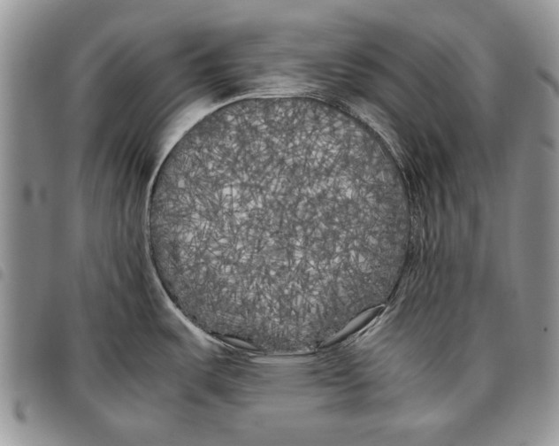 X0000096671487200803041211