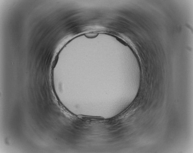 X0000096671488200803041211