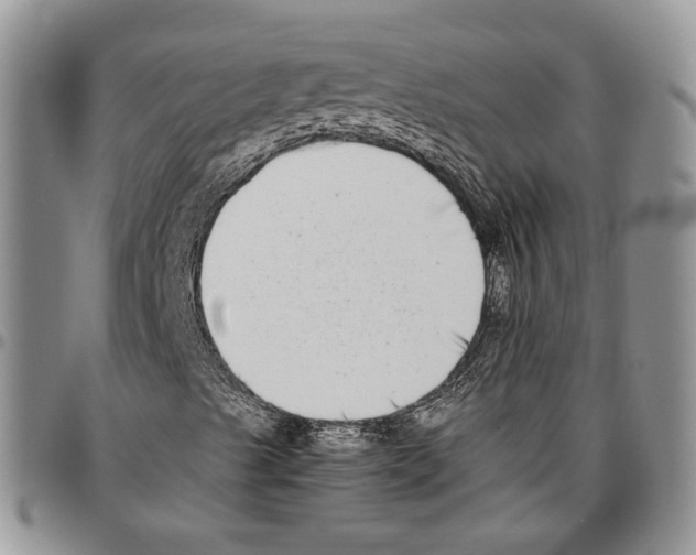 X0000096671489200803041210