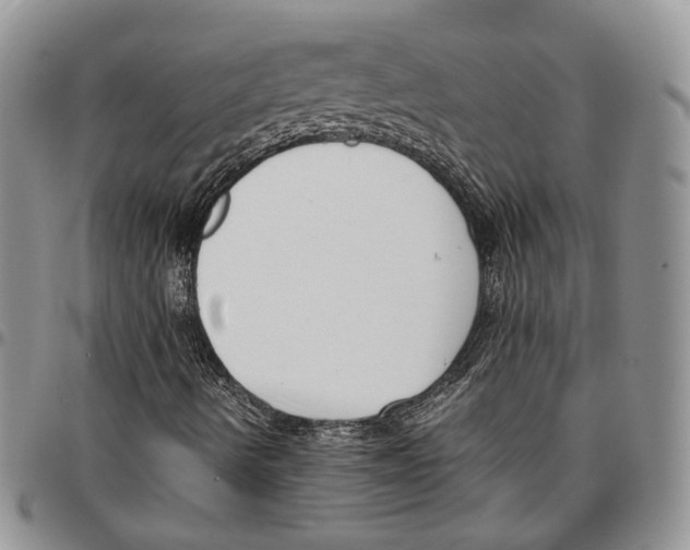 X0000096671490200803041210