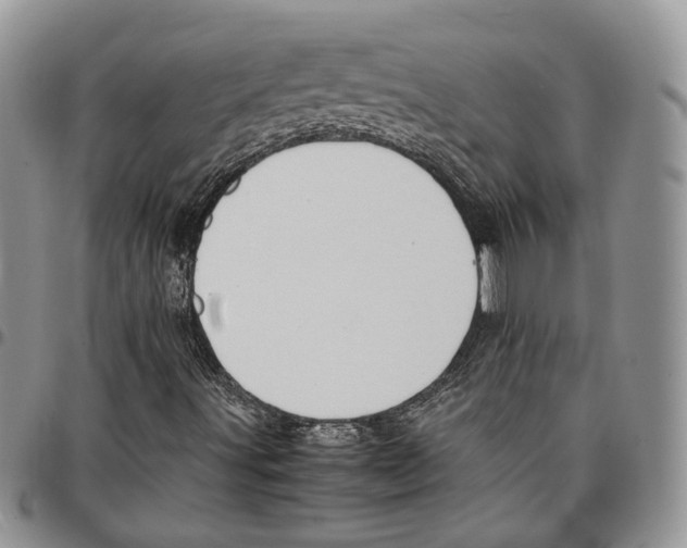 X0000096671491200803041210