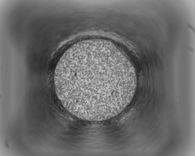 X0000096671494200803041210
