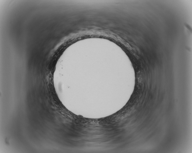 X0000096671495200803041210