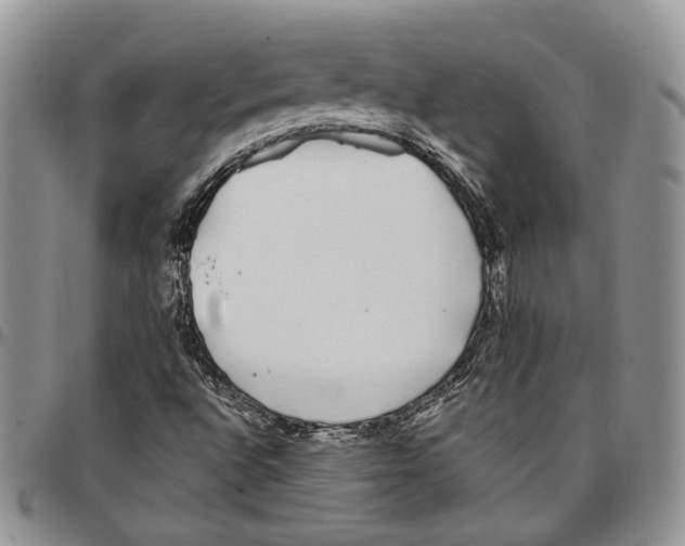 X0000096671496200803041210