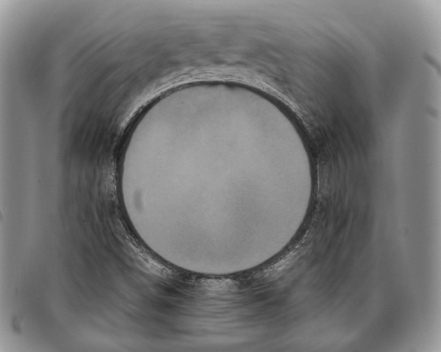 X0000096671498200803041210