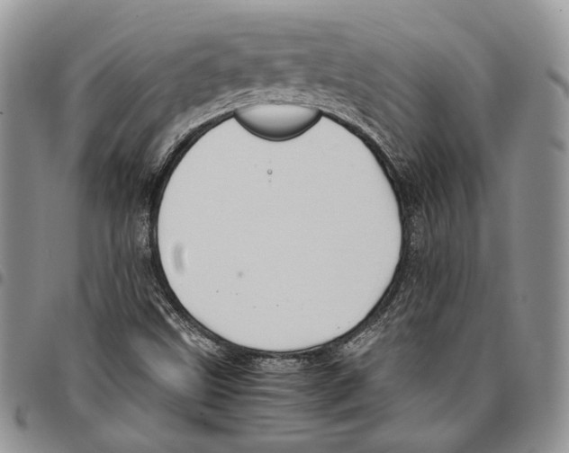 X0000096671499200803041210