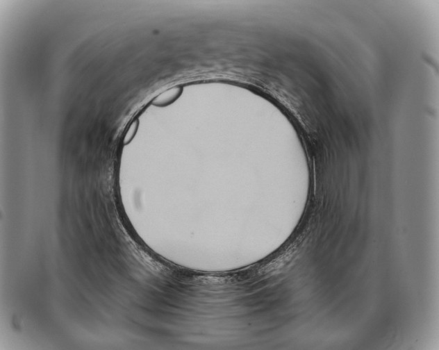 X0000096671500200803041210