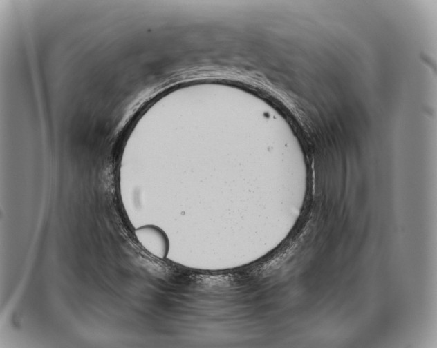X0000096671501200803041210
