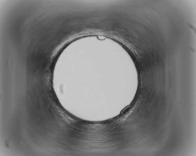 X0000096671502200803041210